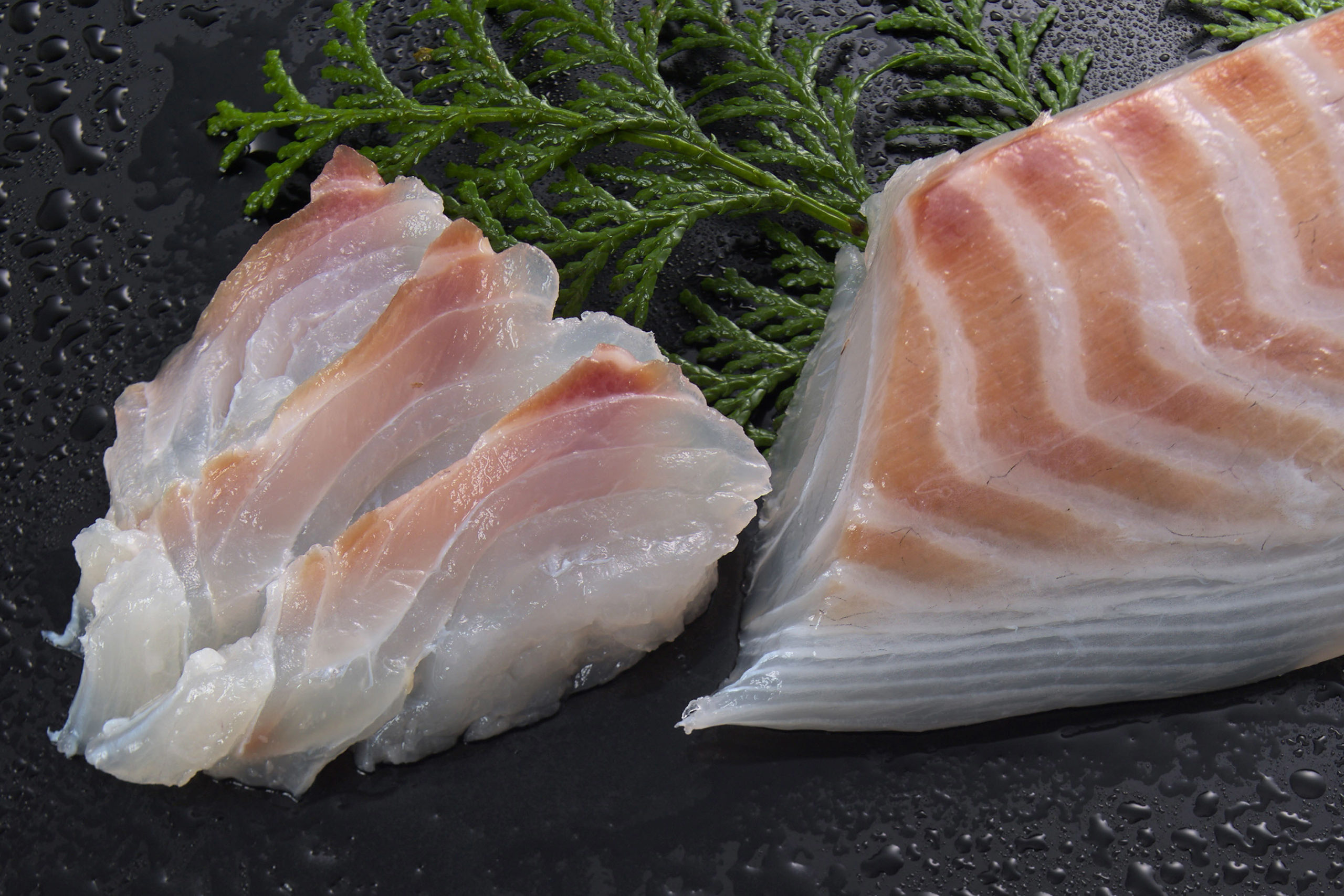 スタッフ通信を始めました